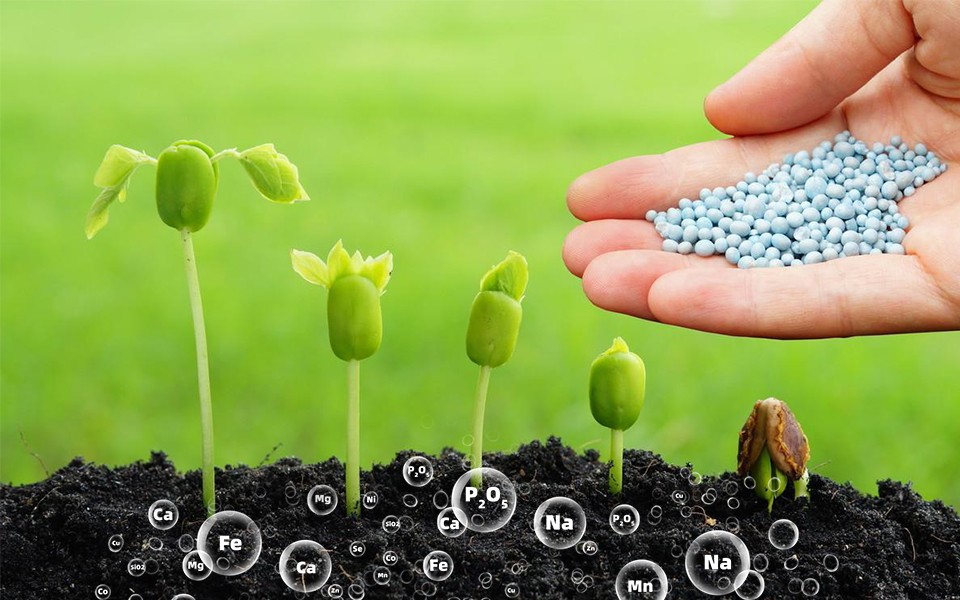 cp43-01.jpg cp43-01.jpg