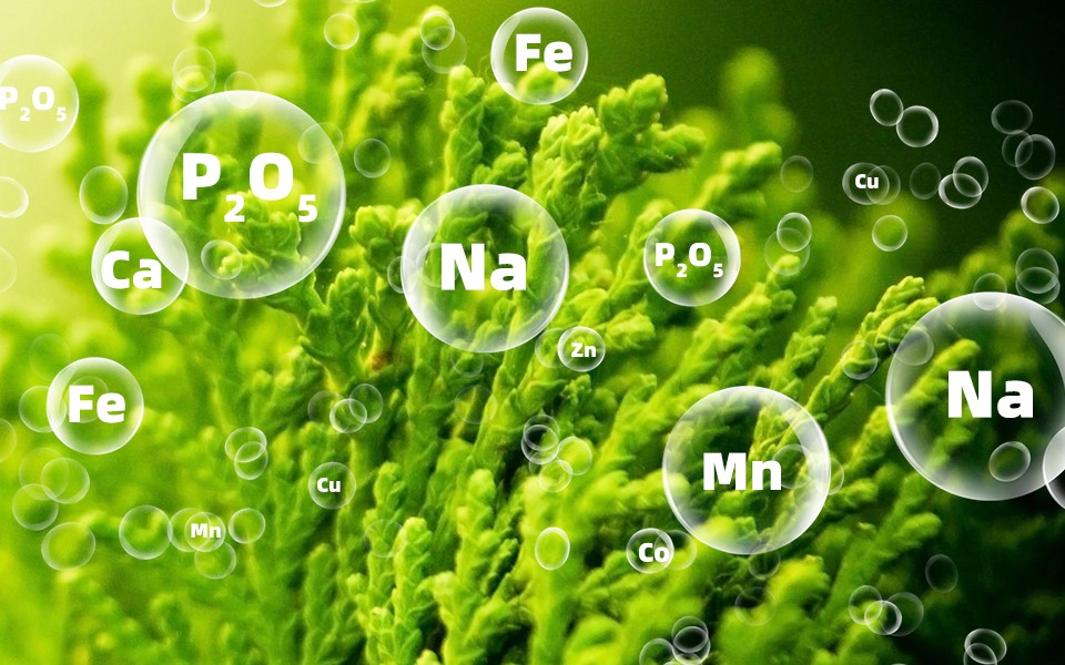 ypgnxl_mo_item2_1.jpg ypgnxl_mo_item2_1.jpg